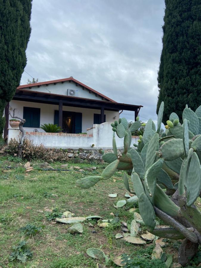 Villa Al Presti, Vacanze In Pieno Relax Cefalù Eksteriør billede