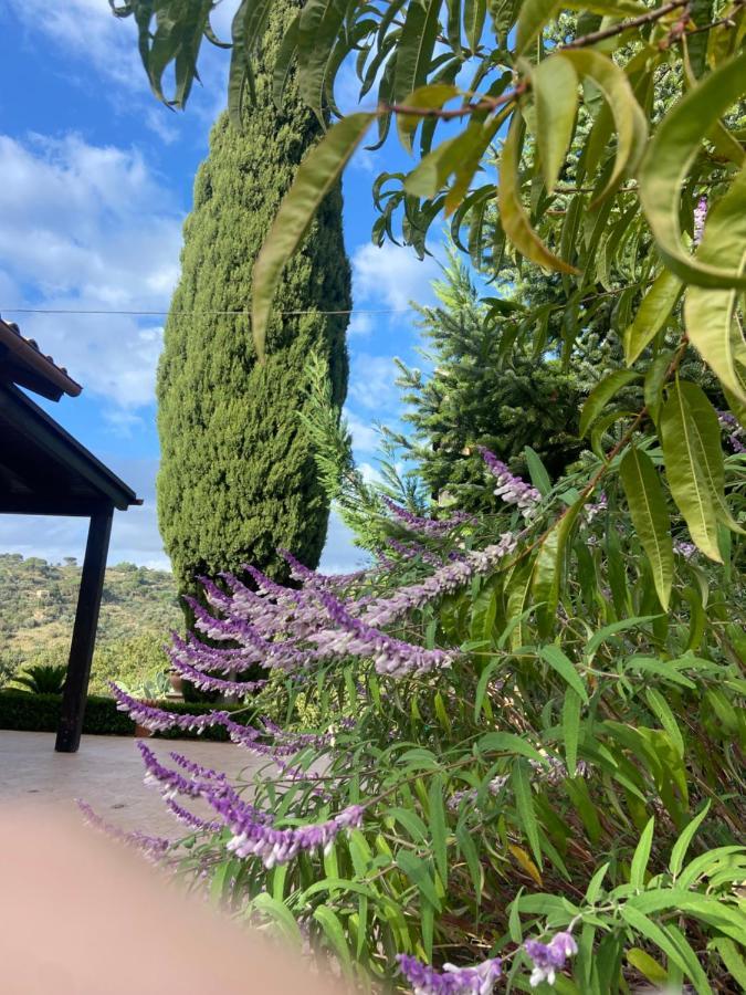 Villa Al Presti, Vacanze In Pieno Relax Cefalù Eksteriør billede