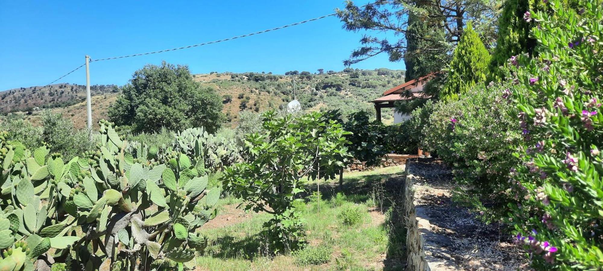 Villa Al Presti, Vacanze In Pieno Relax Cefalù Eksteriør billede