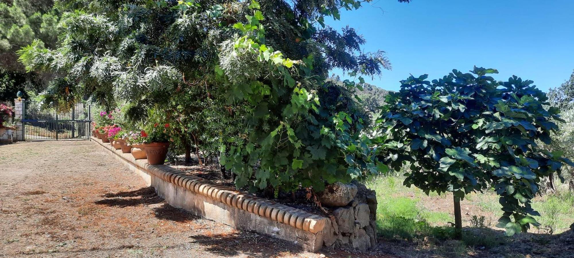 Villa Al Presti, Vacanze In Pieno Relax Cefalù Eksteriør billede